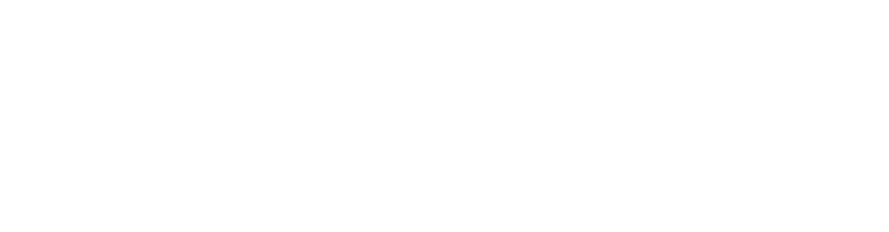 Report-authority-page-header-logo@2x400