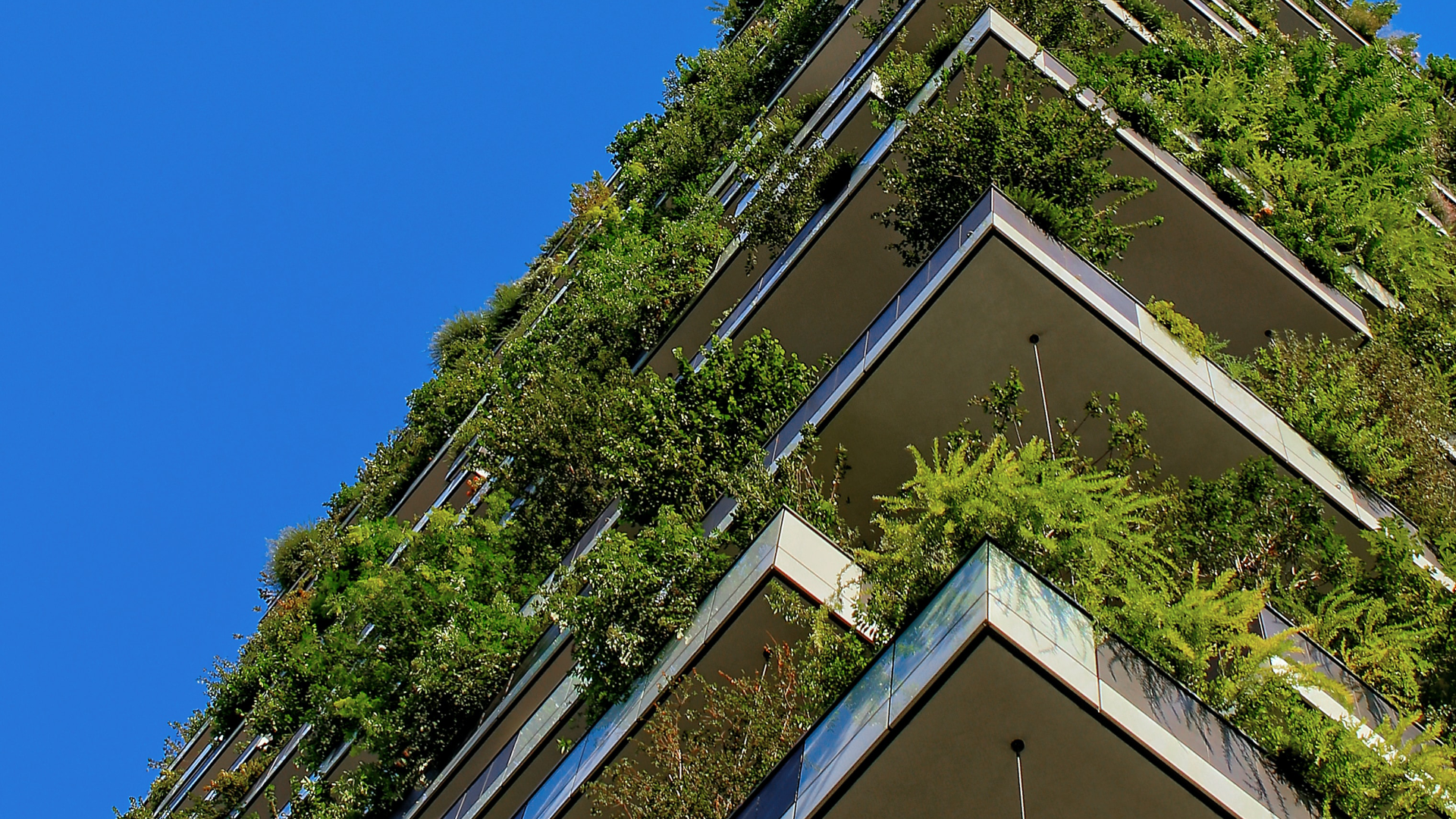 Corporate Sustainability