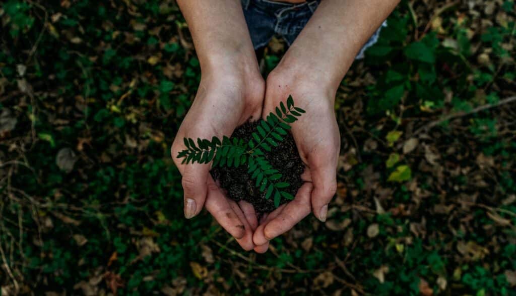 Sustainability in Finance
