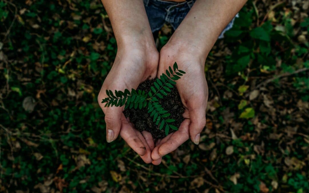Navigating the ESG Disclosure Landscape: The Role of SFDR