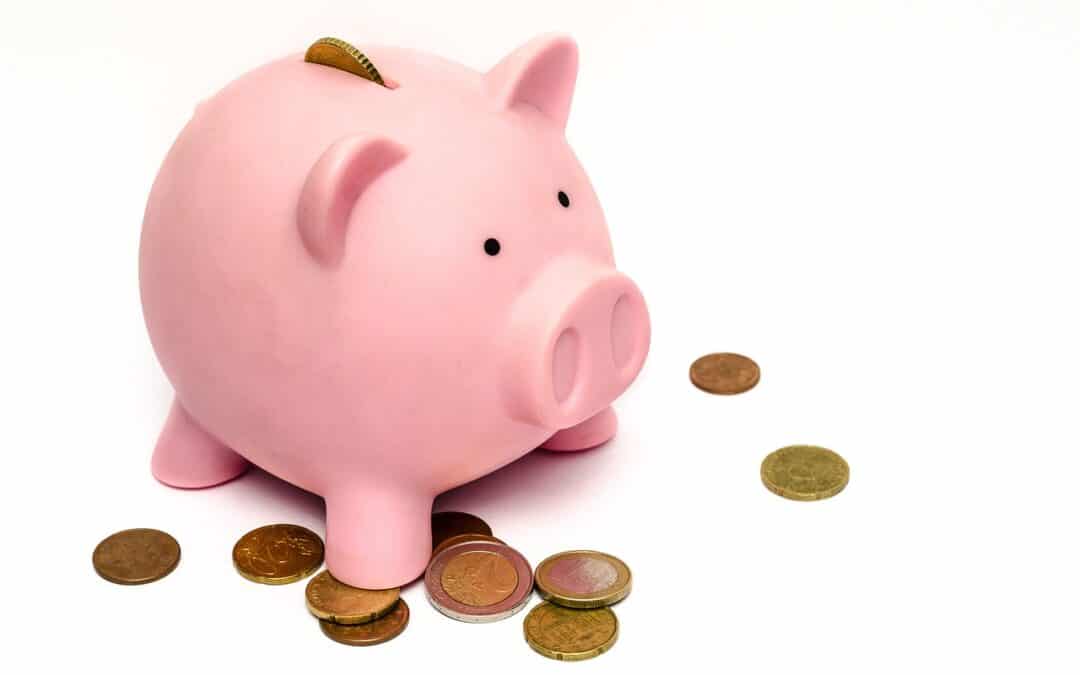 Need to submit a CESOP nil return? XML Authority Essential is the answer.